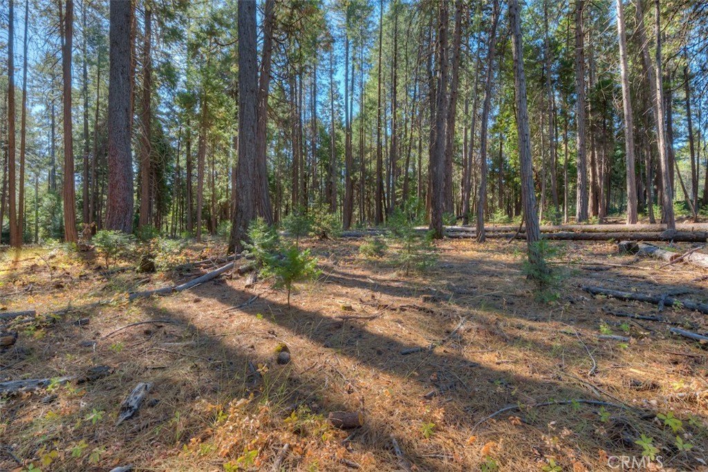 Magalia Land Parcel For Sale