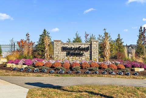 Premium Lot in Orland Park