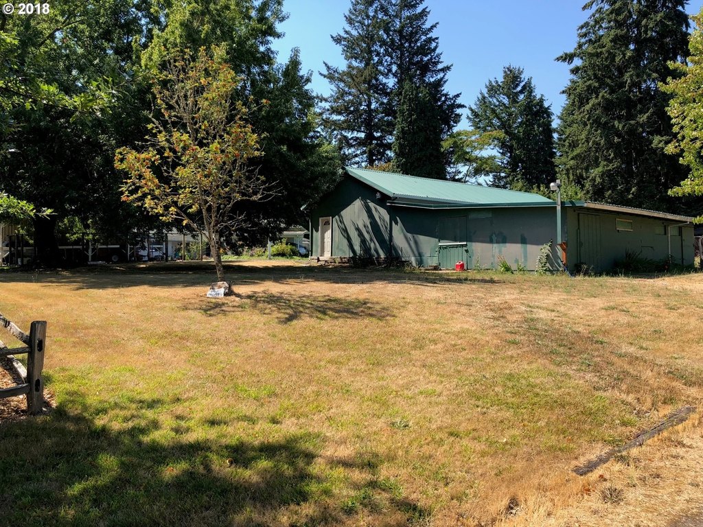 Picture 21