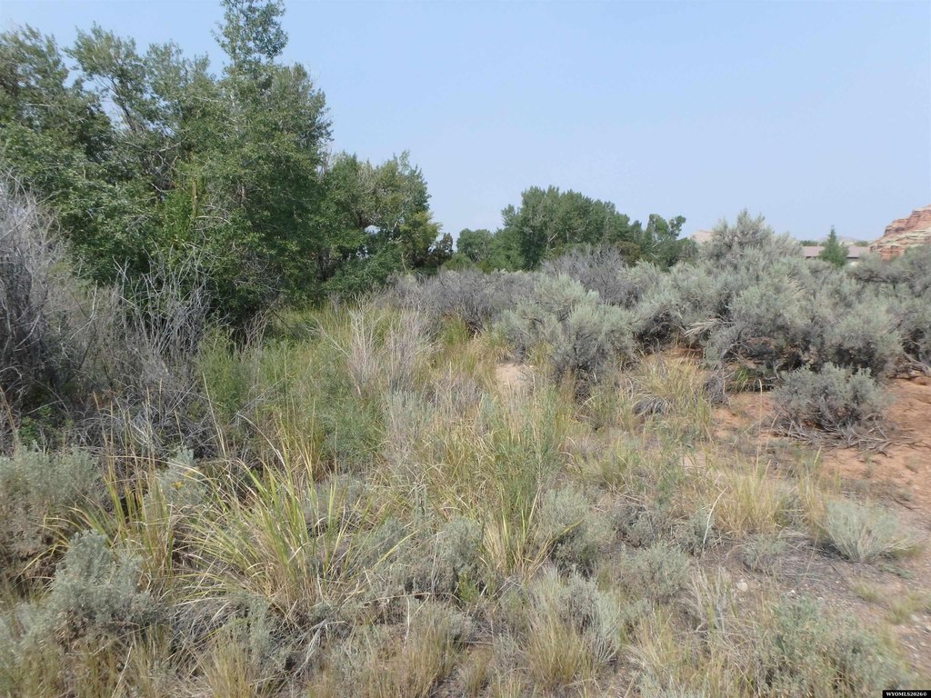 Picture 8