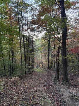 Wooded Hunting Land With ATV Trails