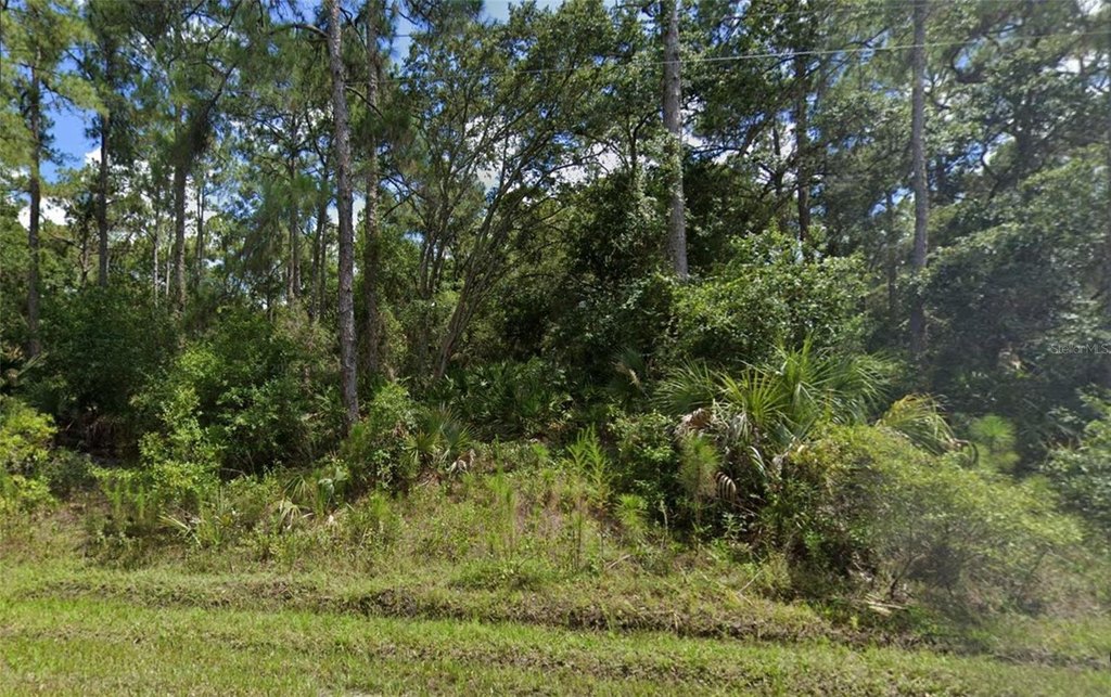 Picture 4