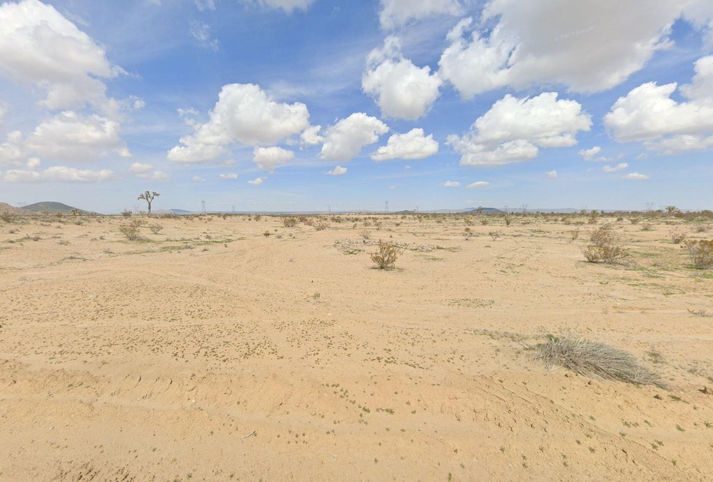 Picture 6