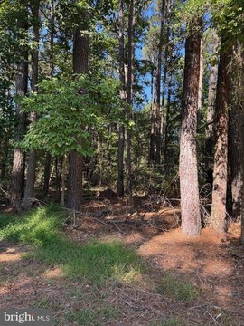 Land, GREENBACKVILLE, VA