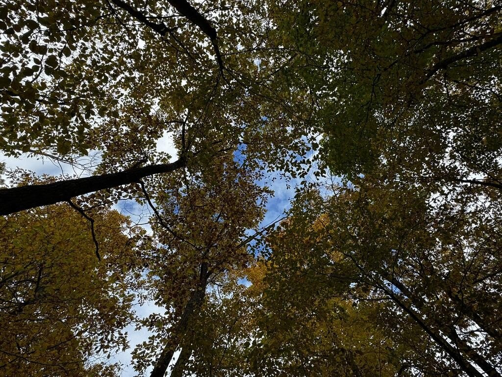 Picture 14