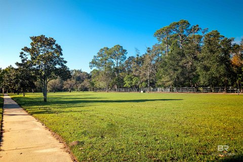 Magnolia Springs Land in Commons