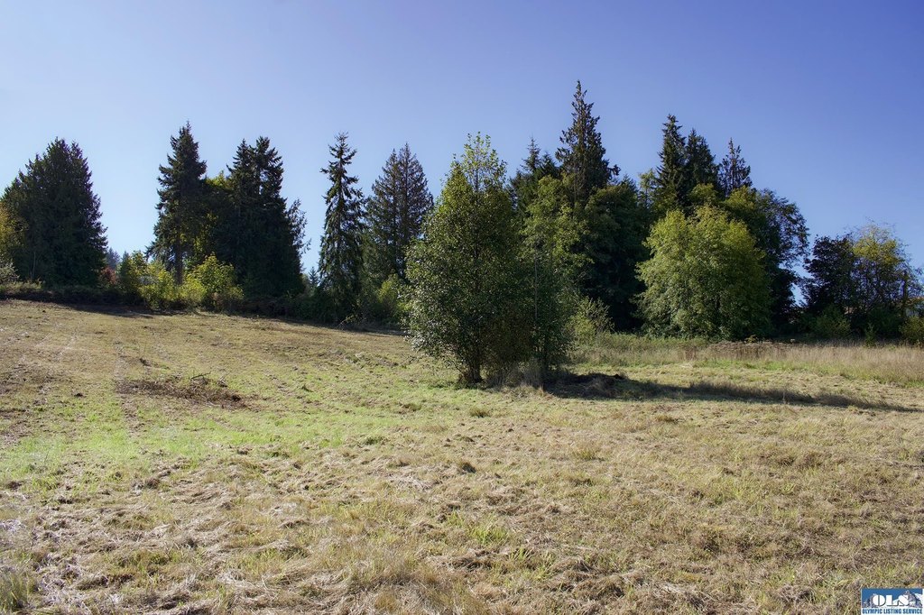 Picture 40