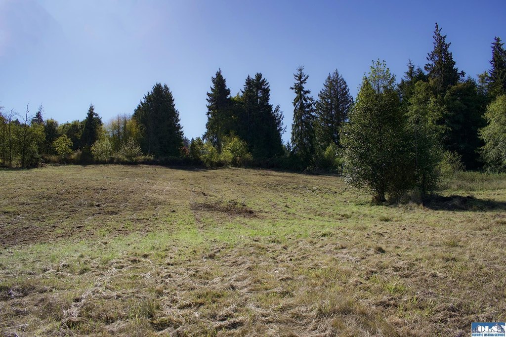 Picture 32