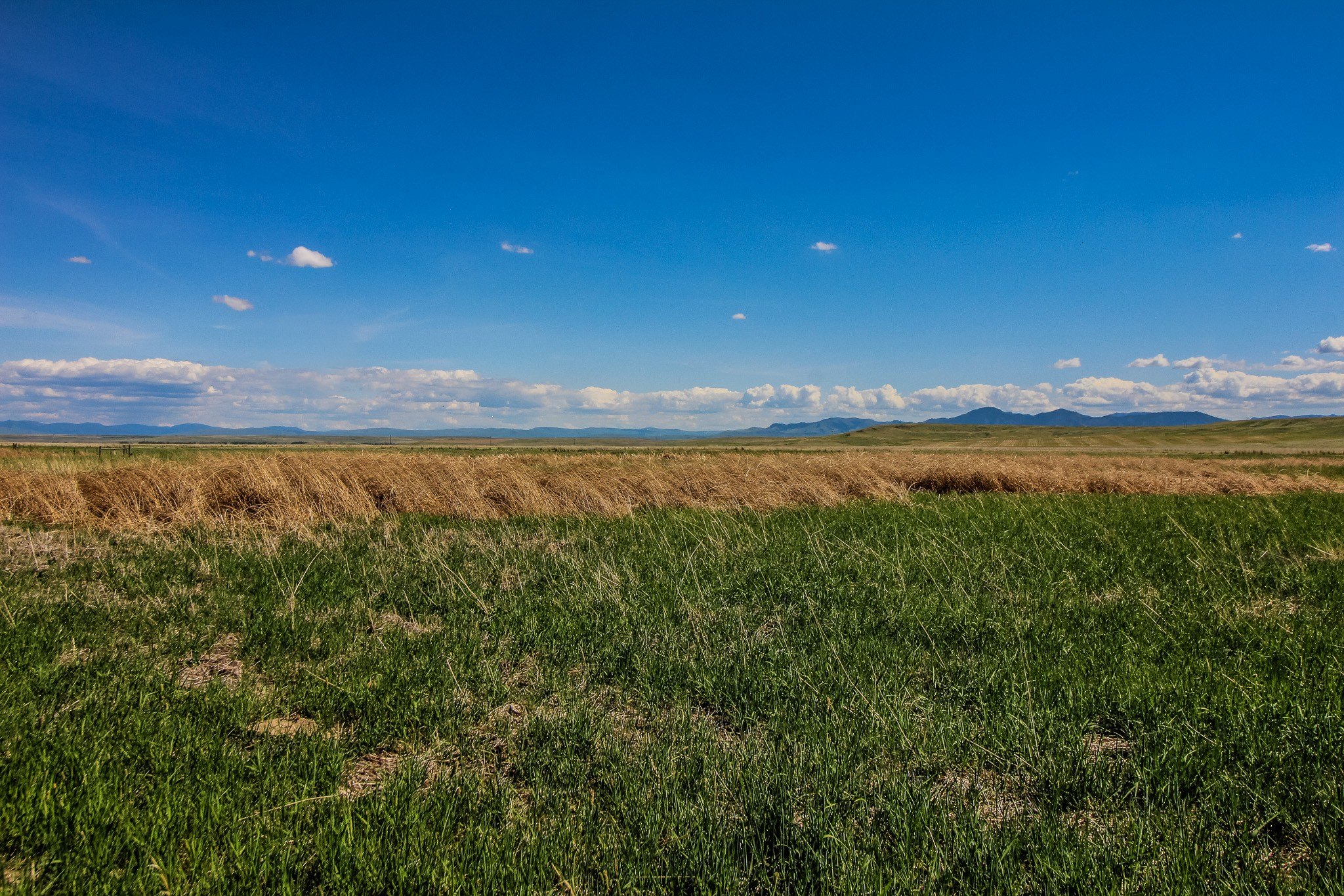 160 Acres with Creek Frontage
