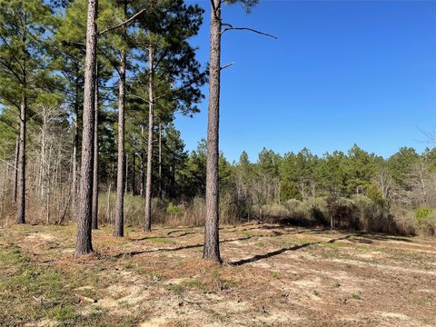 3.75 Acre Tract in Benton