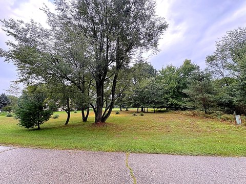 Land, Stanwood, MI