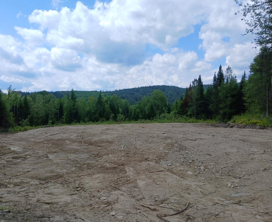 Picture 29