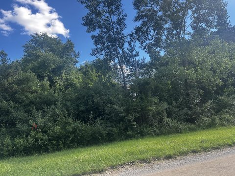 Wooded Lake-Access Recreation Lot