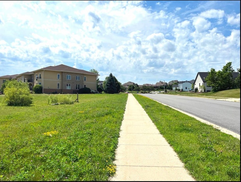 Picture 7