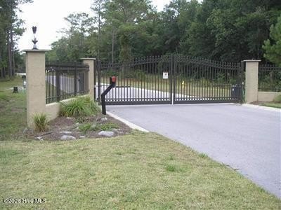 Picture 3