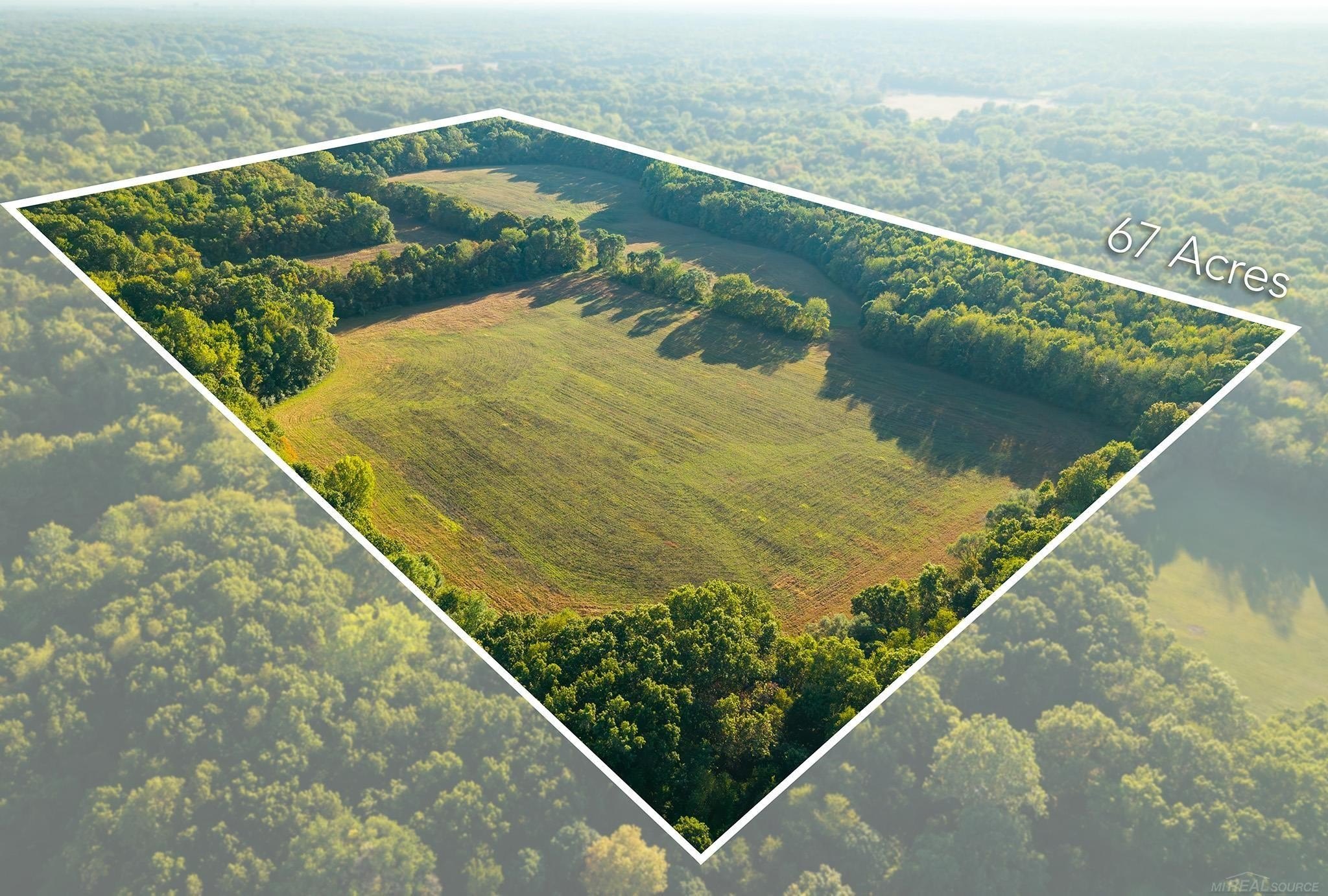 Spacious Land with Development Potential
