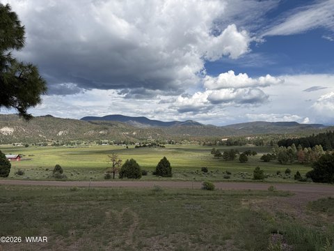 LAND - Nutrioso, AZ