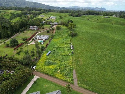 Subdivided Farmland Lot with Road Frontage