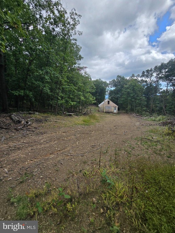 Picture 8