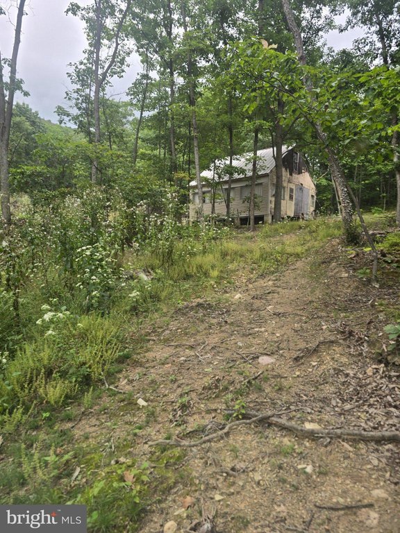 Picture 21