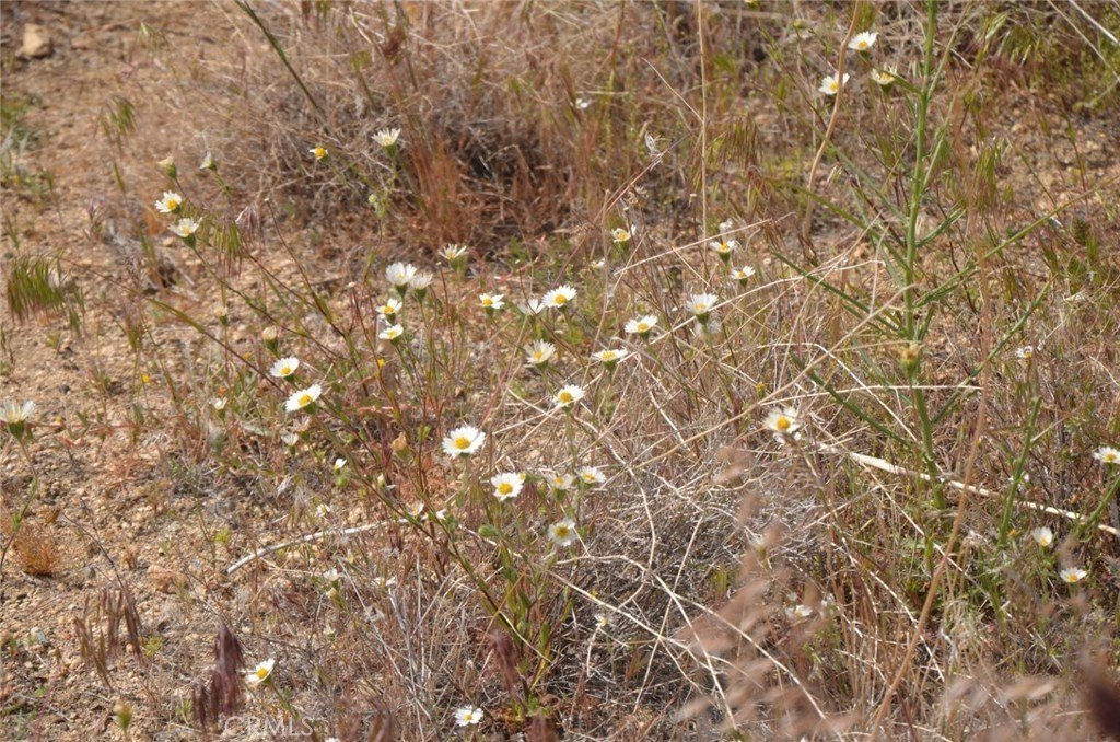 Picture 32