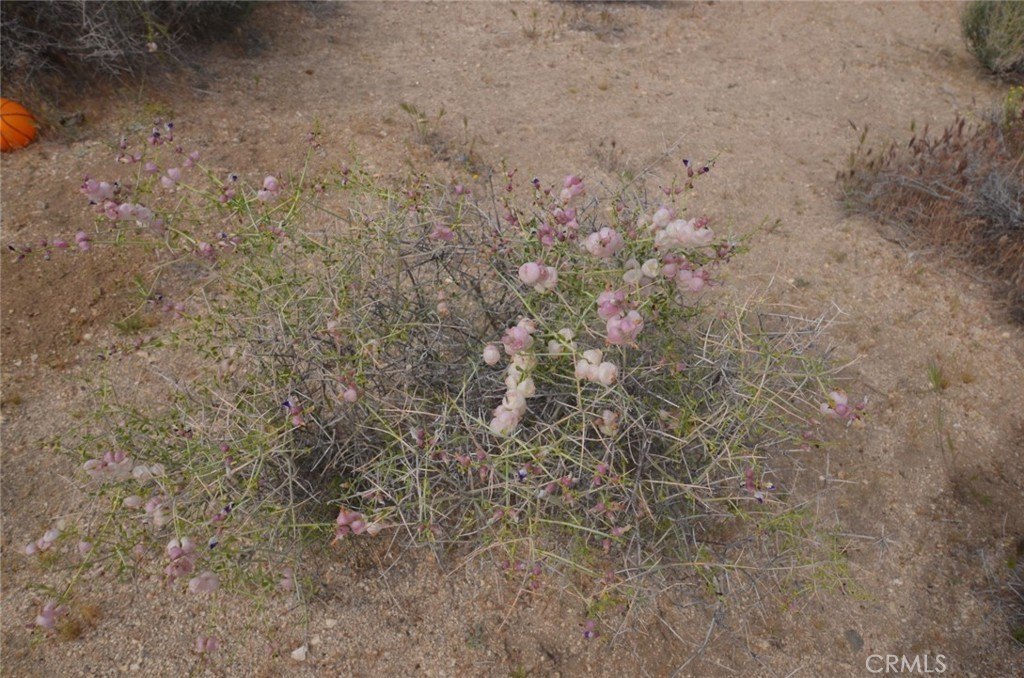 Picture 48