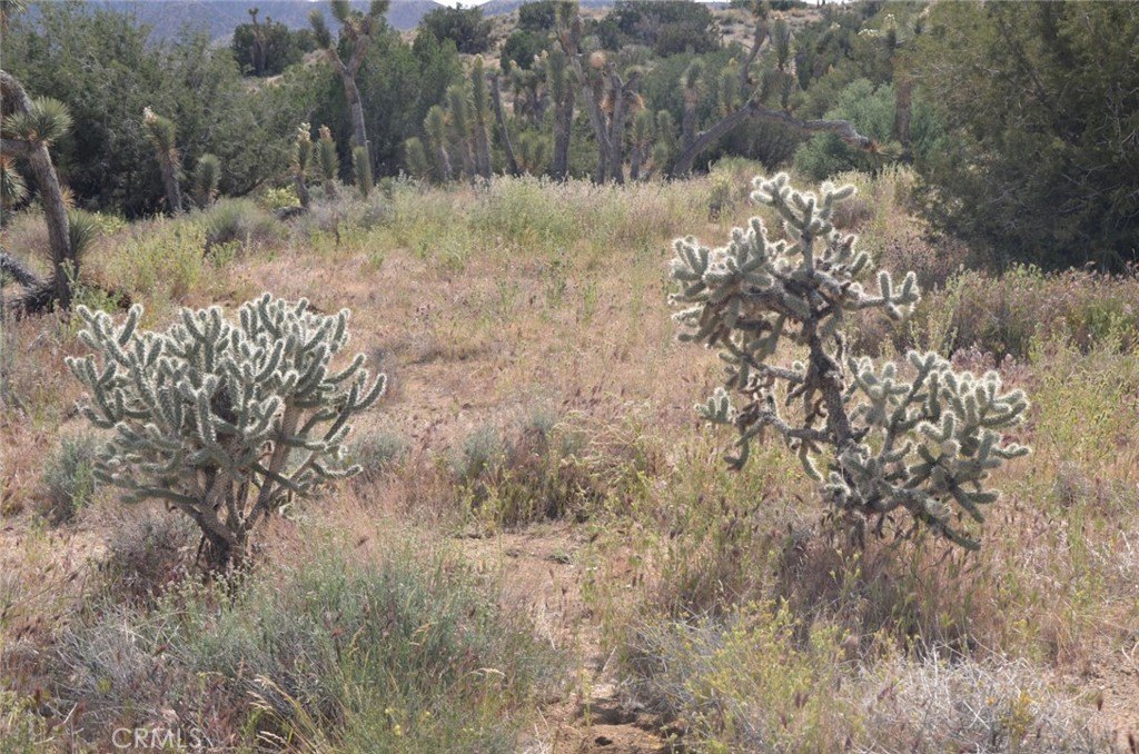 Picture 37
