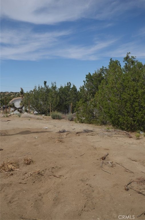 Picture 25