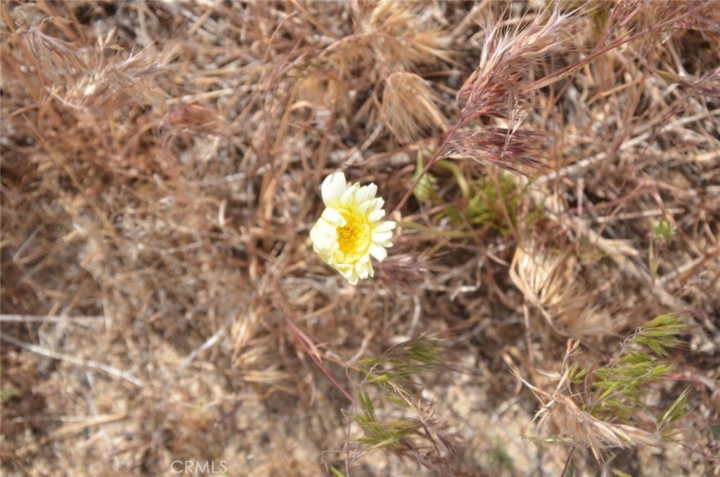 Picture 33