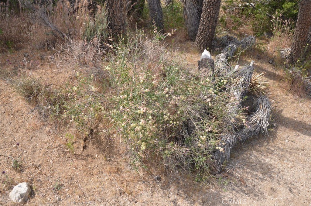 Picture 46
