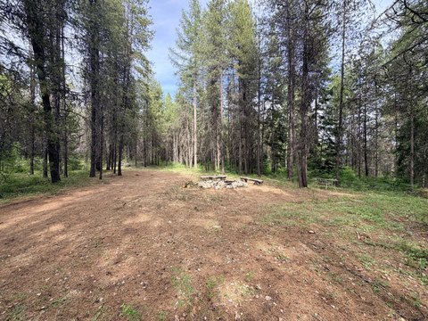 Timbered Recreational Land