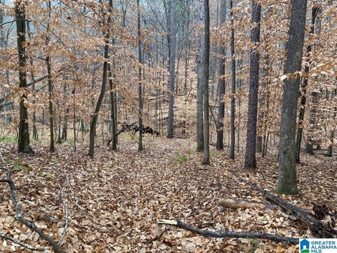 LAND/LOTS, PELHAM, AL