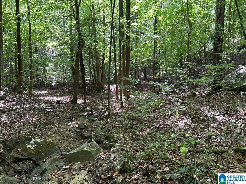 Picture 25