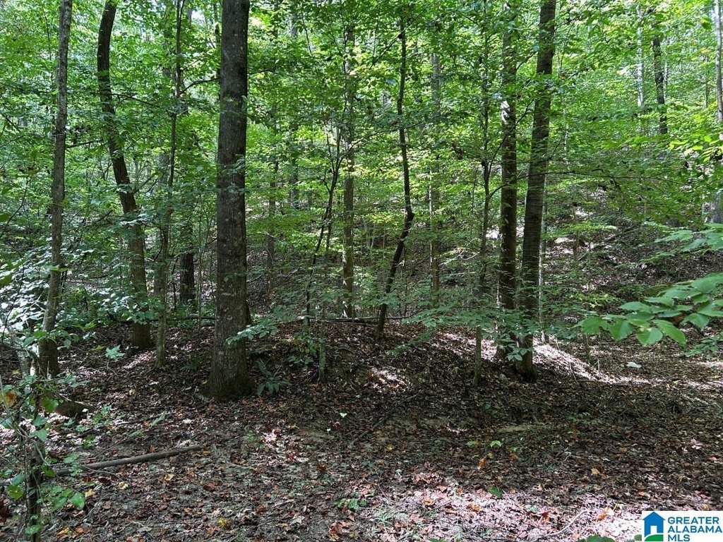Picture 16