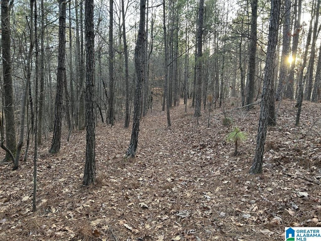 Picture 2