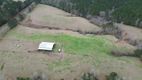 20 Acres Joaquin Land For Sale