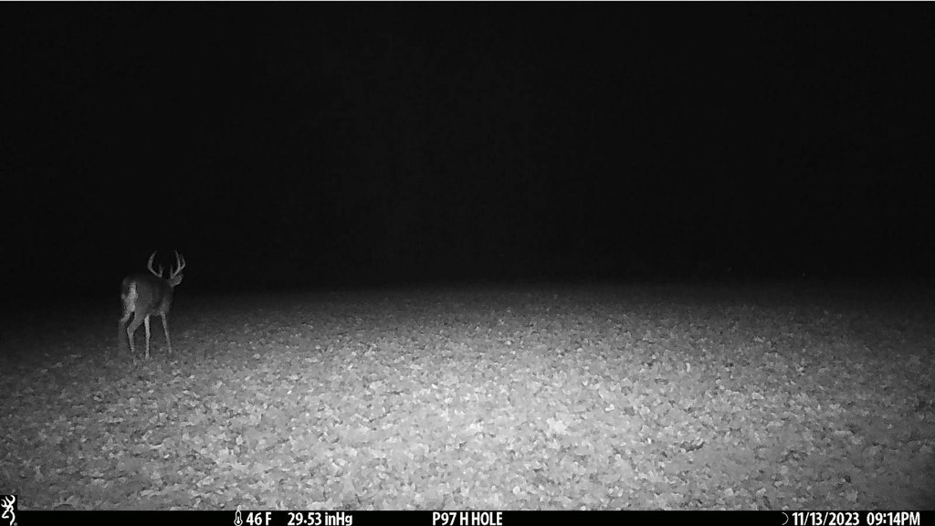 Picture 29