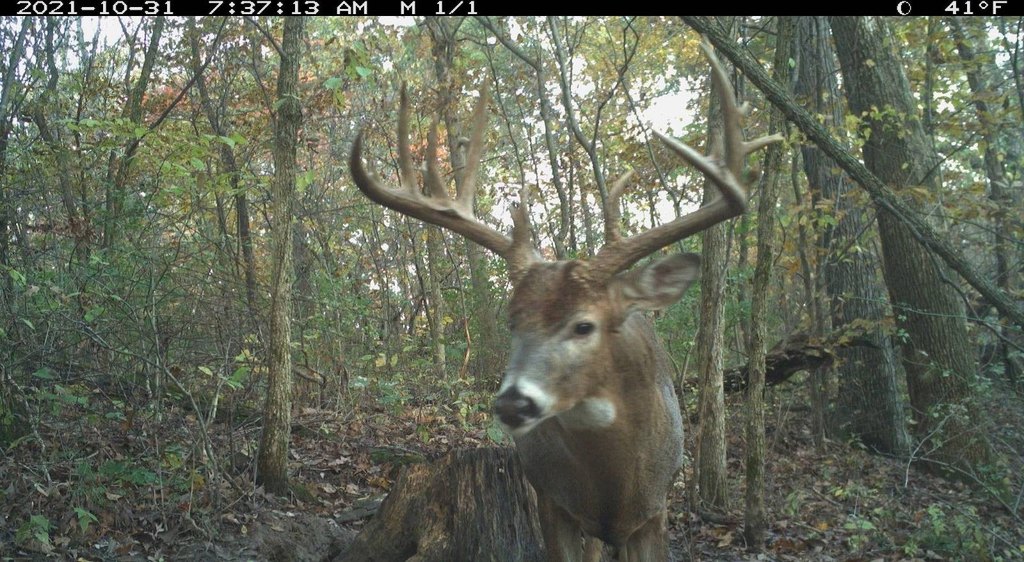 Picture 18