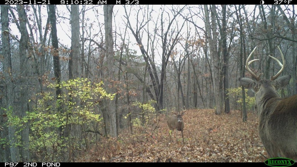 Picture 11