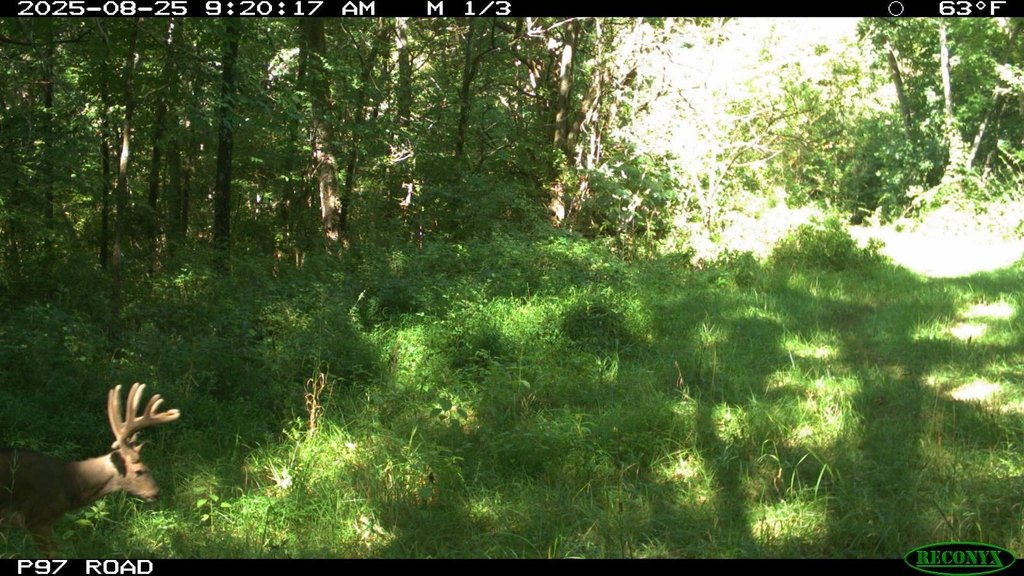Picture 20