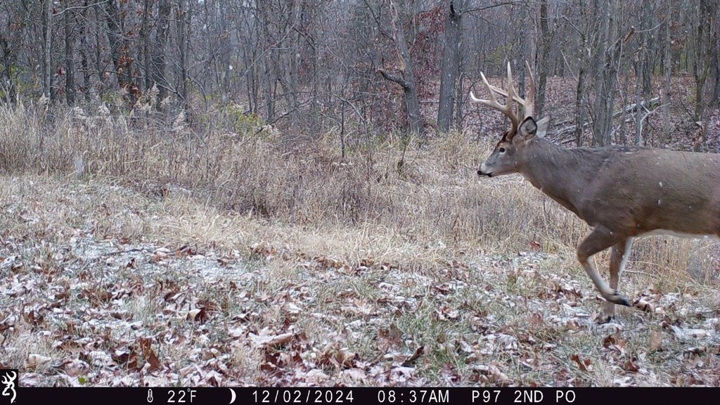 Picture 13
