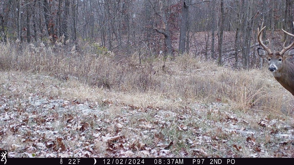 Picture 12