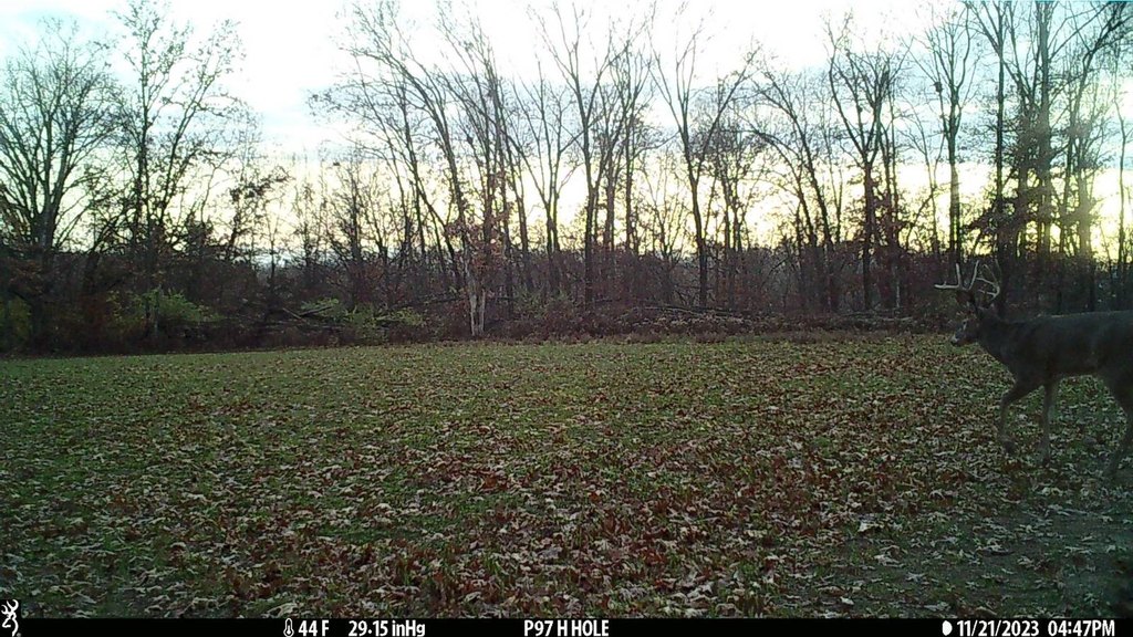 Picture 19