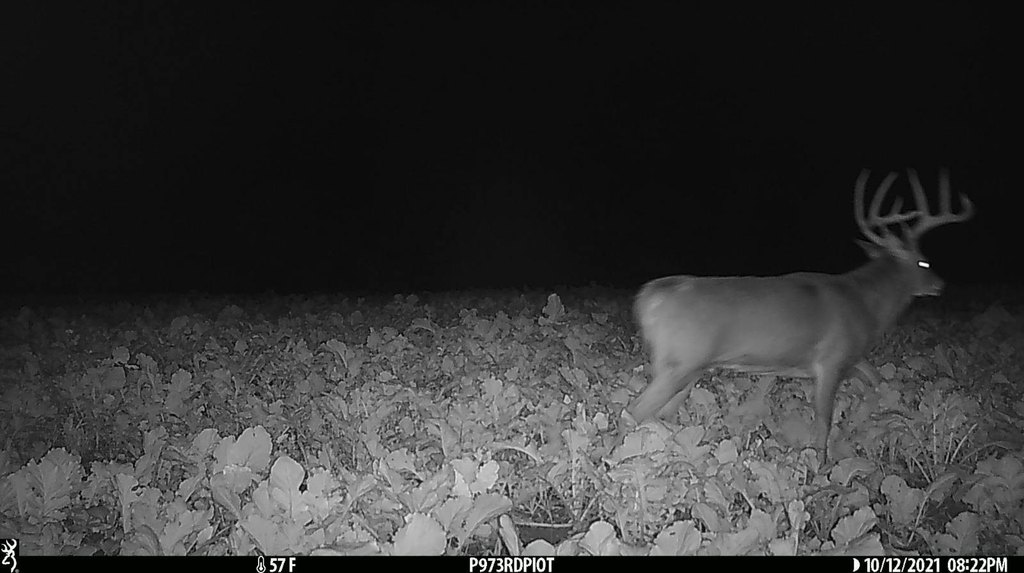 Picture 26