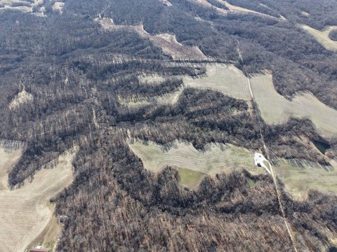 Secluded Whitetail Hunting Farmland