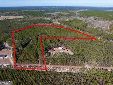 Wooded Acreage Near Waycross