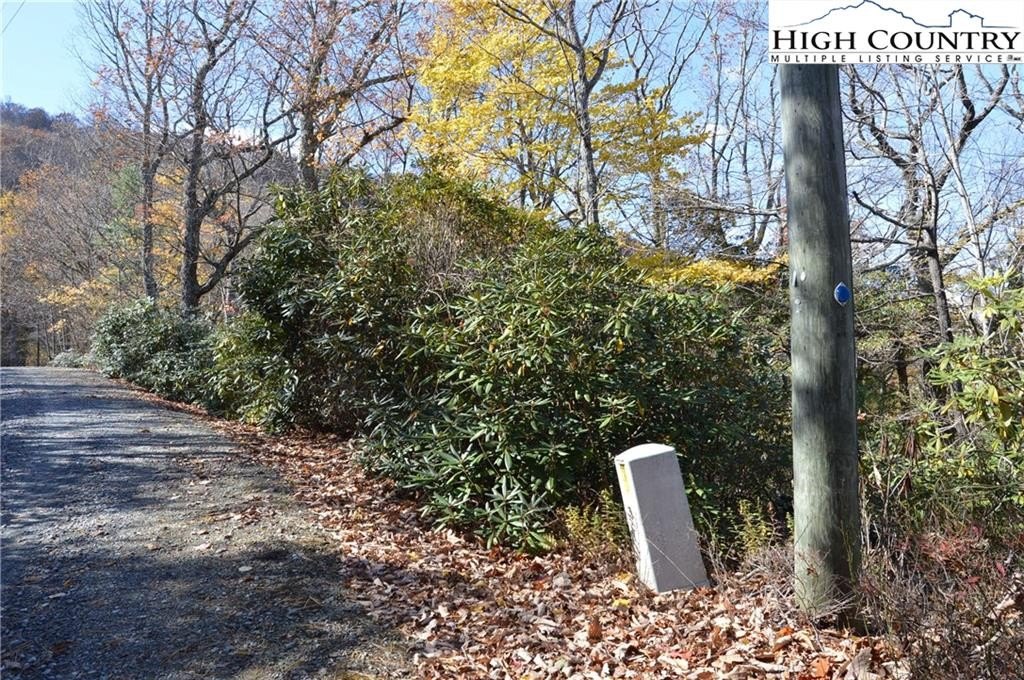 Wooded Land in Gated Community