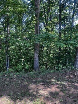 Residential Land in Ona, WV