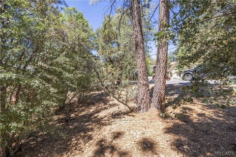 LAND - Sugarloaf, CA