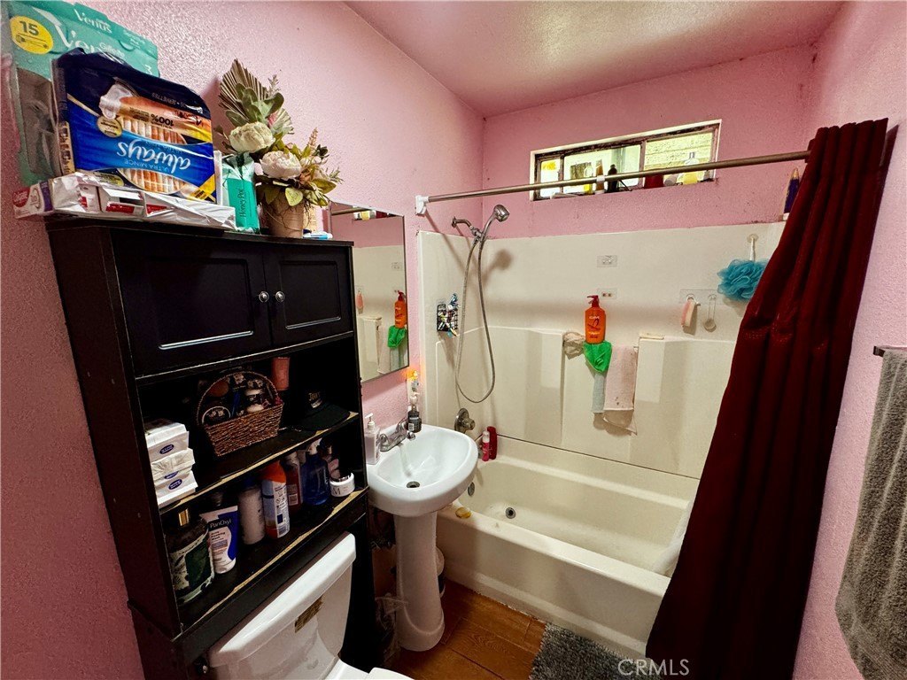 Picture 11